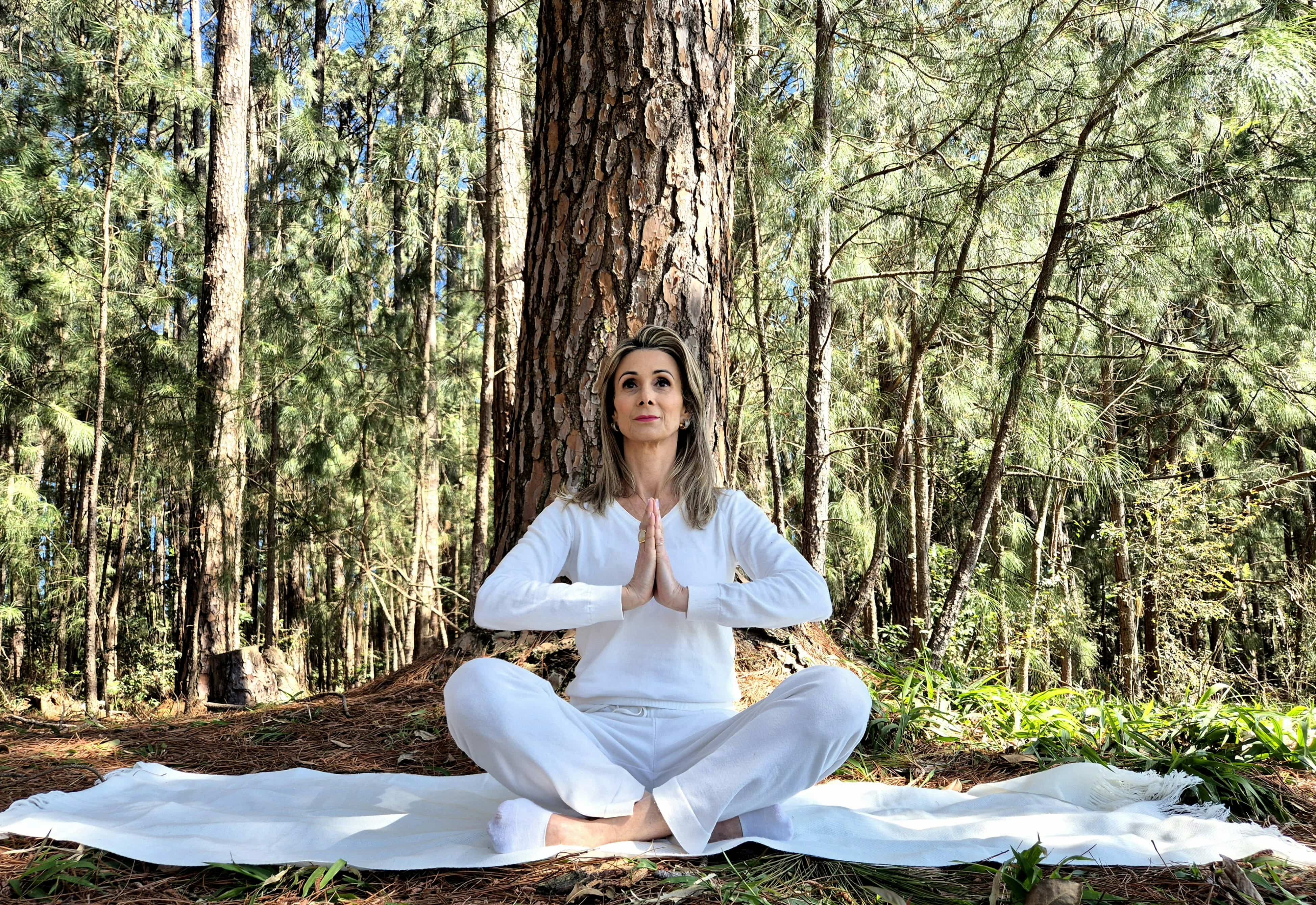 Blog de Terapia Holística e Radiestesia